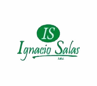 Ignacio Salas - Clientes Decaral S.R.L