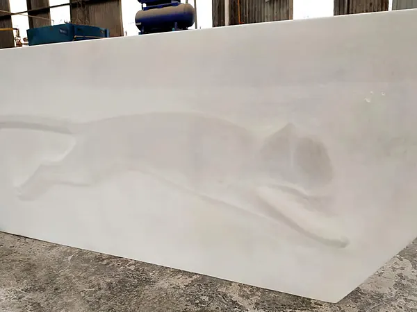 Relieve Puma, vista lateral